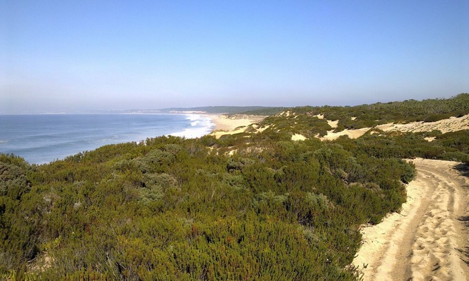 Meco Casa | Entre plage et pineède forest