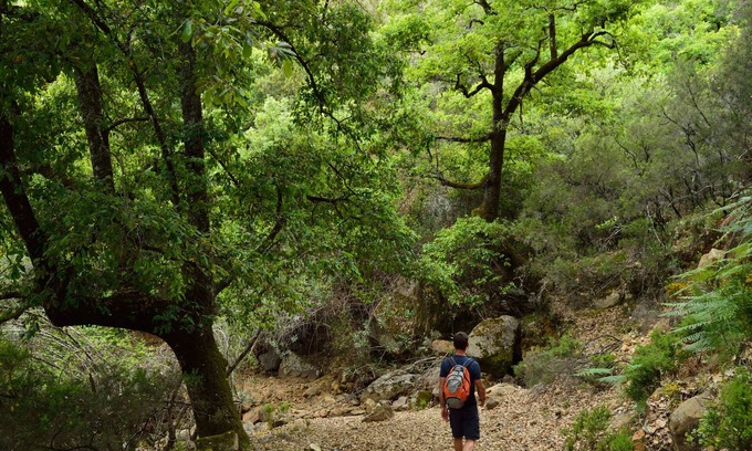 El Colmenar Cabaña | La Casita de la Vega