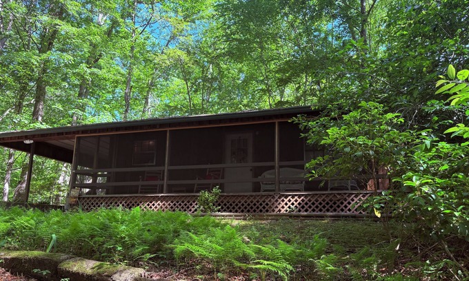 Hayesville Cabina | Escape to the Hepp’s Hideaway!