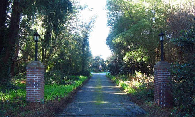 Eureka Casa | Eureka, vistas a la bahía, rodeado de árboles. Bodas, Retiros, Reuniones, Eventos también