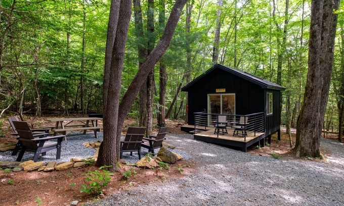 Balsam Grove Cabina | Can't Bear To Leave 486 - A Perfect Pisgah Retreat