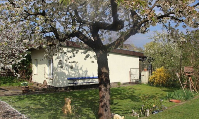 Muritz Casa | Family idyll Comfortable holiday residence