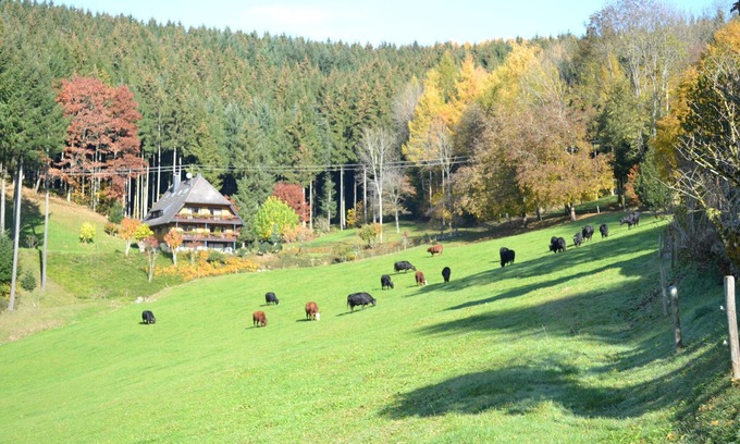 Oberwolfach Apartamento | Family room with two separate Bedrooms