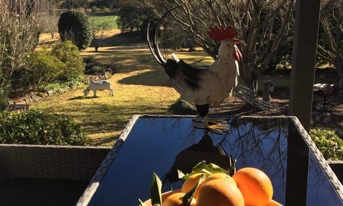 Kangaroo Valley Casa | Nanny Goat Hill - Escape espacioso del valle del canguro