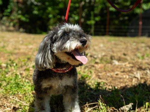 Izunokuni Casa | Farm Garden Hotel