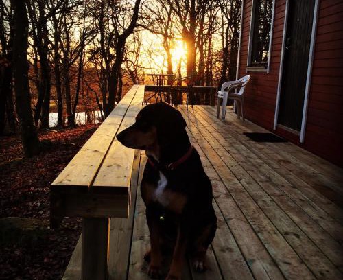 Veberod Casa | Farm Stay Happy Dogs Ranch