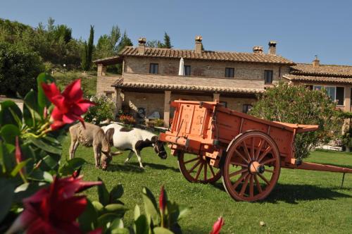 Collevalenza Casa | Farm stay Il Carro del Colle