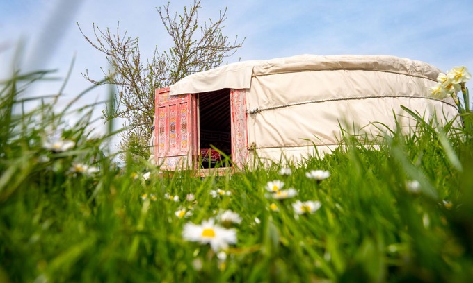 Farbus Alquiler De RV | Yourte à la ferme-Yurt-Baño Privado-Familiar-Vista al Jardín