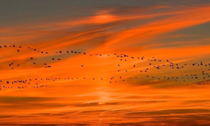 Putgarten Casa | Ferienhaus für 4 Gäste mit 60m² in Putgarten