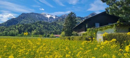 Grassau Apartamento | Ferienwohnung 3