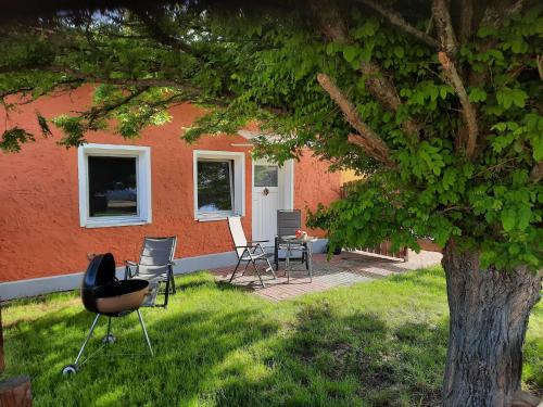 Mecklenburgische Kleinseenplatte Apartamento | Ferienwohnung am Oase am Vilzsee