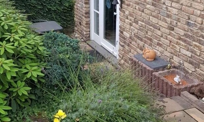 Rheinbach Apartamento | Ferienwohnung/app. für 2 Gäste mit 60m² in Rheinbach