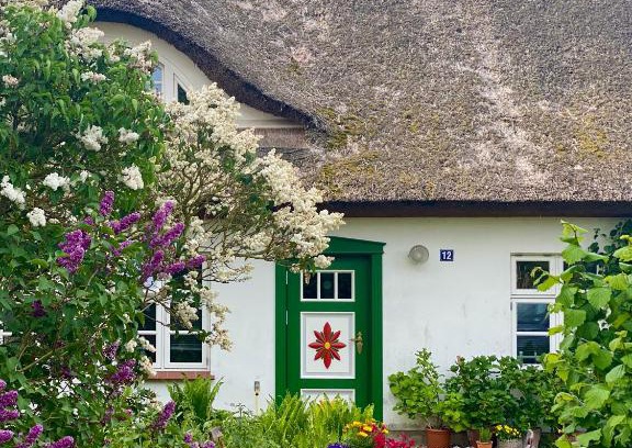 Wieck auf dem Darss Apartamento | Ferienwohnung Sierke