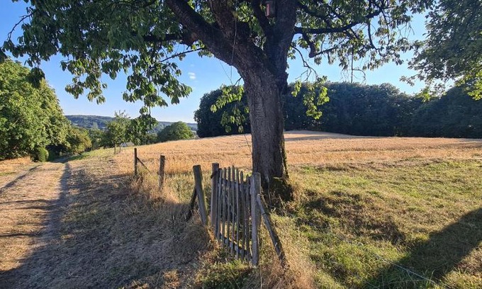 Tecklenburg Apartamento | Ferienwohnung "Tecklenburger Augenblicke"
