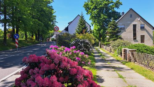 Kromlau Apartamento | Ferienwohnung zentrale Lage Parkplatz kostenlos Grill Terrasse Fahrradraum Kromlau