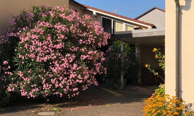 Mainz-Bingen Apartamento | Ferienwohnungen In de goldisch Luft