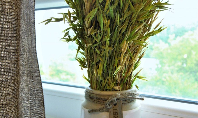 Hassels Apartamento | Ferienwohung D14, 81qm, 2 Schlafzimmer, 1 Wohn-/Schlafzimmer, max. 8 Personen