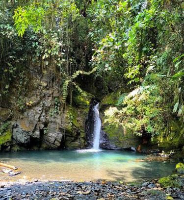 Vergara Casa | Finca en Vergara "Prado Alto"