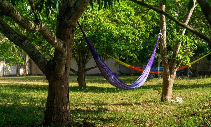 Leona Vicario Complejo | Finca Tuch