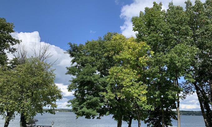 Auburn Casa | FingerLakes Home close to everything!