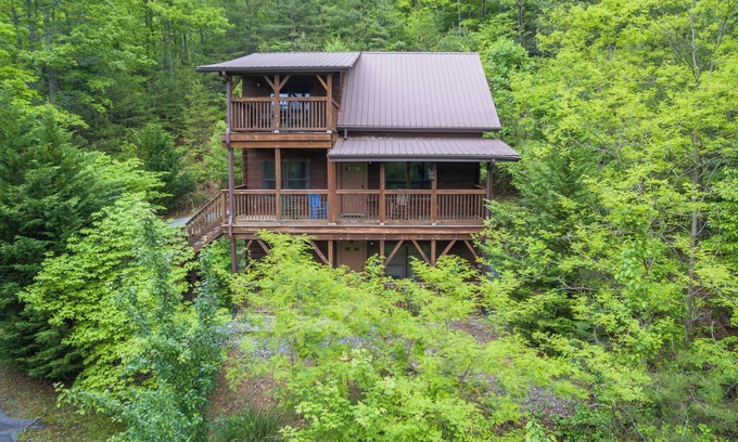 Black Mountain Cabina | Firefly Lodge | Private Log Cabin with Gas Grill & Mountain Views!