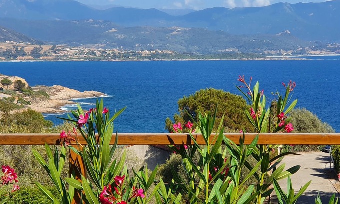 Vico Apartamento | piso / apartamento - Sagone