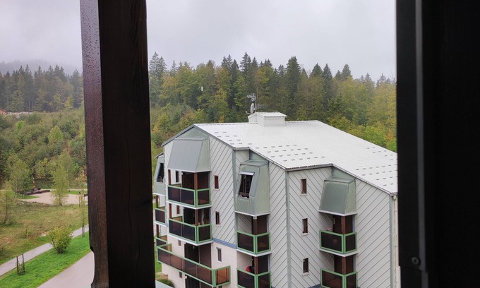 Premanon Apartamento | Five minutes from skating rink, cross-country ski trails Duplex apartment