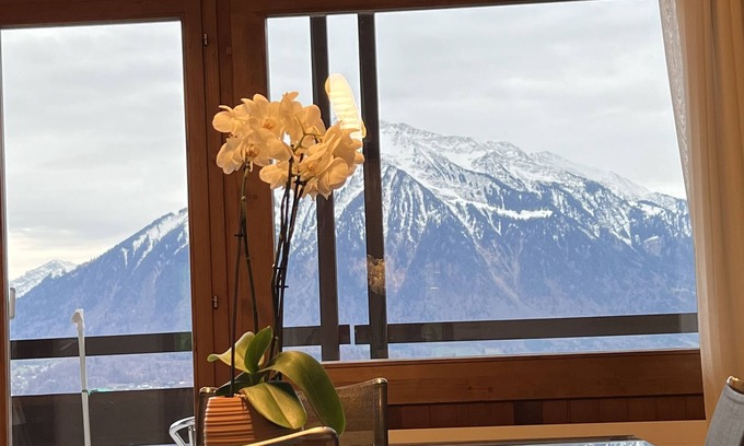 Aeschlen ob Gunten Apartamento | "Fledermaus" An apartment for 7 people