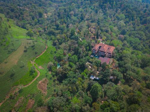 Kunnathidavaka Complejo | Flora Vythiri Resort Wayanad
