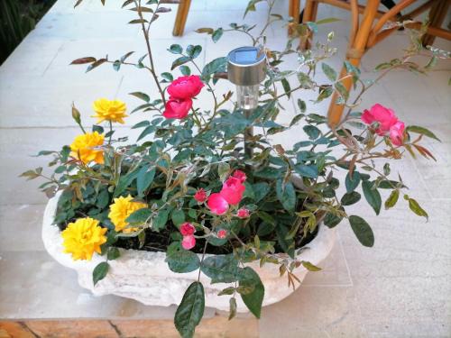 Benitses Apartamento | flower garden apartment