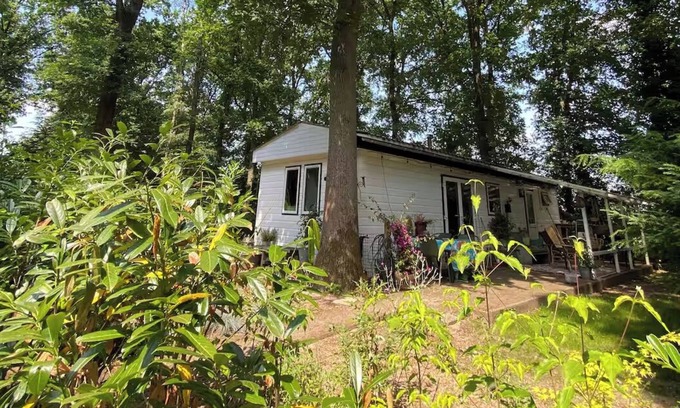 Dieren Chalet De Esquí | Forest cottage on the Veluwezoom