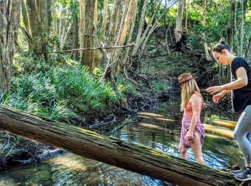 Bunyah Cama Y Desayuno | Forest Creek Retreat