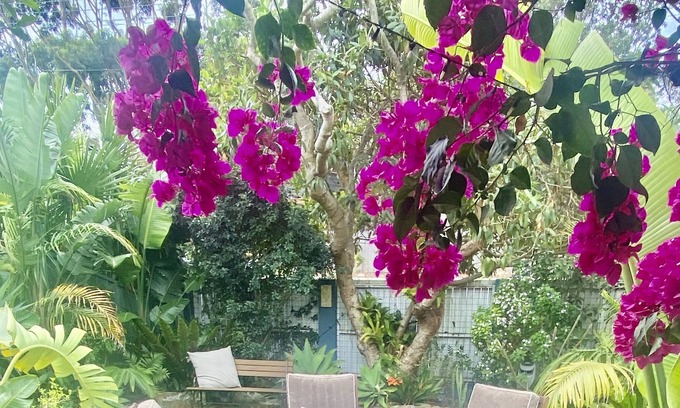 Bundeena Casa | Bundeena Beach & Bush Paradise (villa completa)