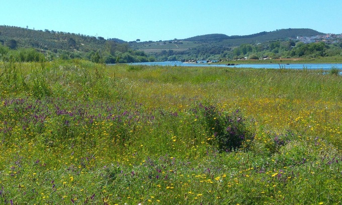 Rio de Moinhos Cabaña | Friar's House