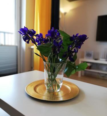 Zator Apartamento | Froja