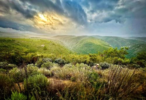 Brandwag Apartamento | Fungamukaba Sanctuary - Stone Cottage