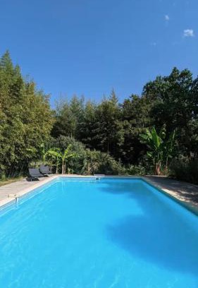 Graulhet Casa | Gîte avec piscine - La Sacristie