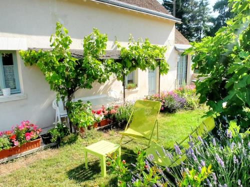 Mazieres-de-Touraine Casa | Gîte chaleureux à la nature avec animaux admis, jardin privé - FR-1-381-200