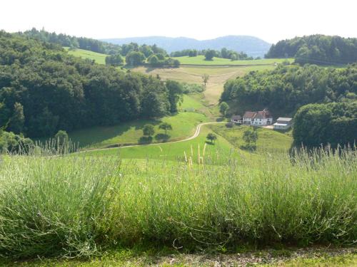 Labaroche Apartamento | Gîte la Sapinière