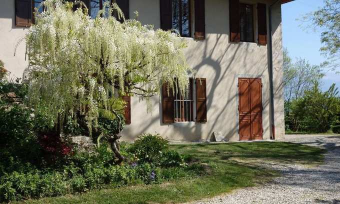 Saint-Sulpice Casa | Gîte - SAINT SULPICE - Gîte
