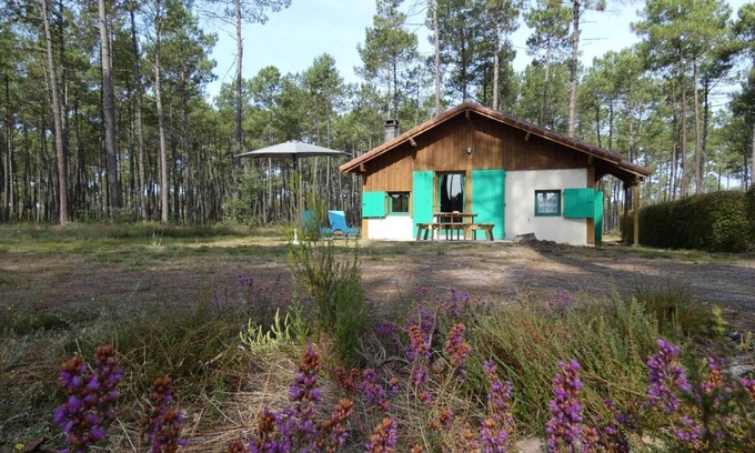 Callen Casa | Gîte Vert - Luxey - Gîte