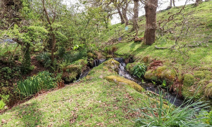 Dolbenmaen Cabaña | Garden Cottage