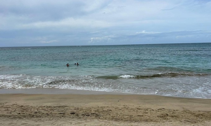 Mediania Alta Apartamento | A104 Garden Level Beach Access