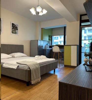 Copou Apartamento | Garsoniera in Copou lângă Parhon IRO
