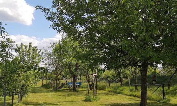 Calau Apartamento | Gemütliche Ferienwohnung im Vogelhaus mit Dachterasse, Großem Garten und Sauna