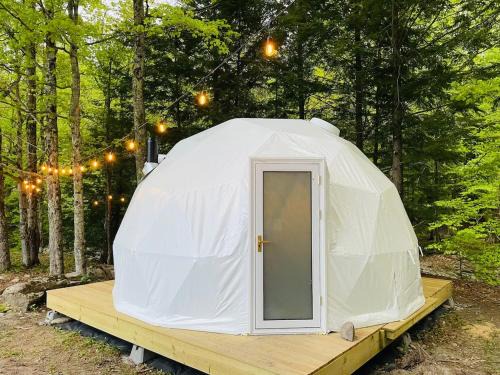 Jeffersonville Casa | Geodome 1min to Smuggler's Notch with hot tub & River
