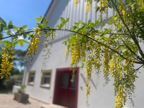Halle Apartamento | geräumige Wohnung mit Terrasse