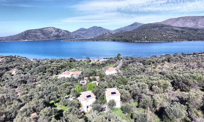 Gera Casa | Gera's Olive Grove