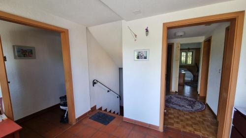 Root Casa | Geste Haus Luzern