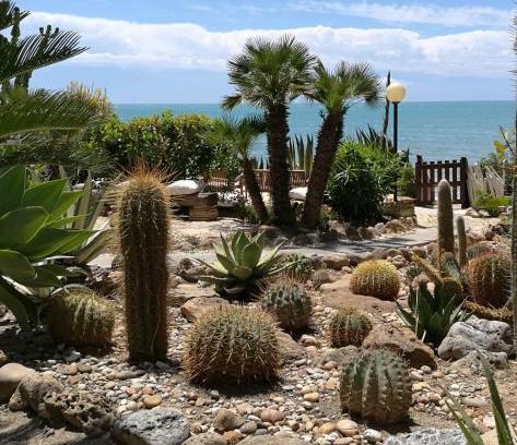 Lido Rossello Apartamento | Giardino sul Mare